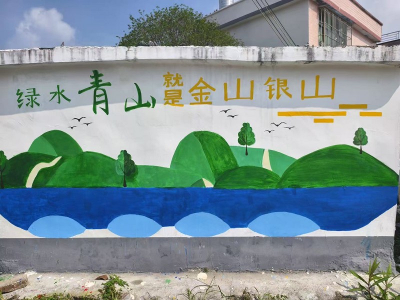 青春助力“百千万”|leyu乐鱼中国体育官网青衿星火突击队赴阳山县江英镇开展暑期“三下乡”实践活动