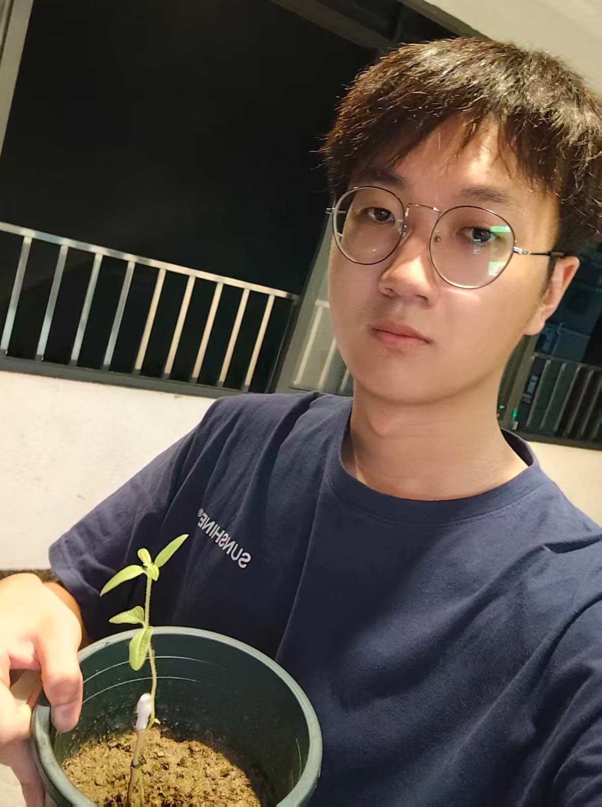 罗洋